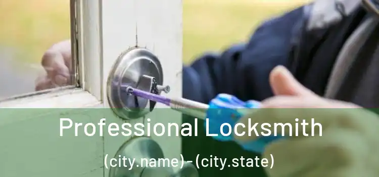 Professional Locksmith (city.name) - (city.state)